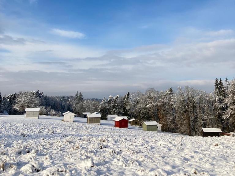 Maly Oslov Glamping Hotell Eksteriør bilde